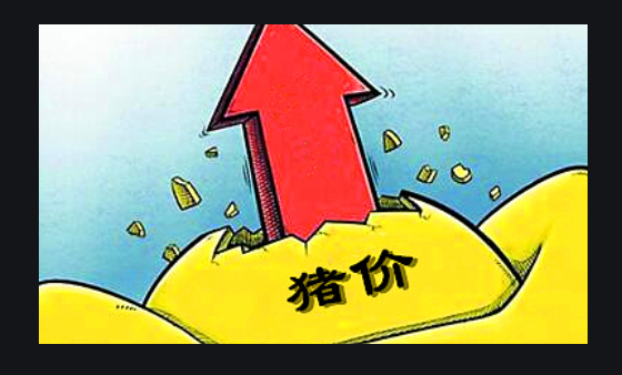 欢迎浏览: AutoCAD软件许可的售后支持是否提供性能优化建议？