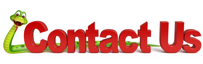 欢迎浏览: 如何优化ANSA软件授权的使用,以提高工作效率和利用率?