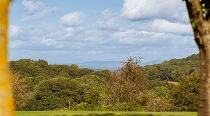 欢迎浏览: 各个供应商提供的ANSA许可价格与服务有何不同？