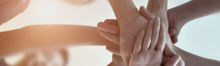 欢迎浏览: caeses软件授权是否接受退换货？