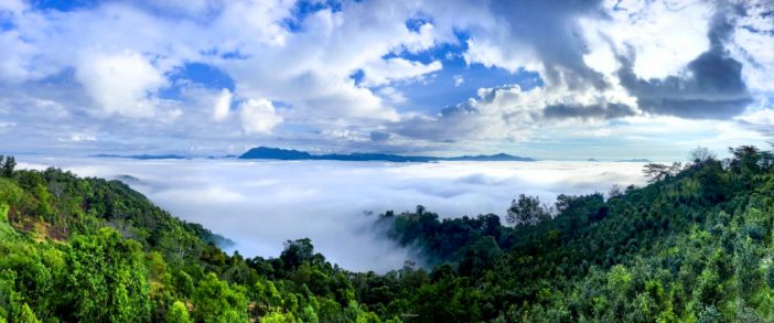 欢迎浏览: 如何根据个人或团队需求，自定义EPLAN软件授权的工作区和工具栏？