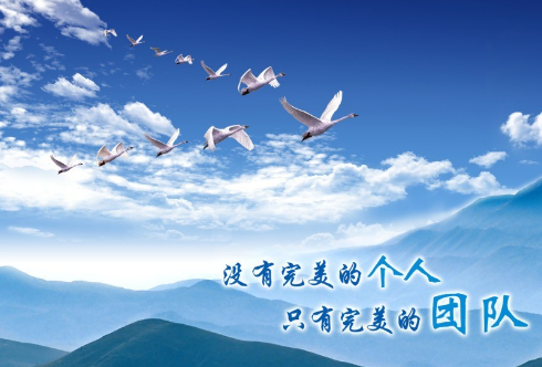 欢迎浏览: 法律与伦理边界探索，Ansa软件使用道德考量