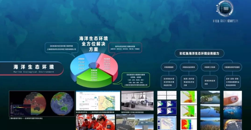 欢迎浏览: 软件许可放大实战：案例分析与启示