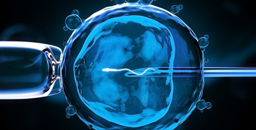 欢迎浏览: 许可优化管理软件：实现许可合规性的自动化监控